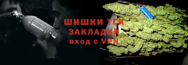 дживик Михайловск