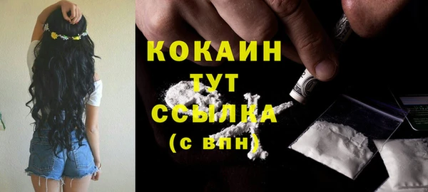 дживик Михайловск