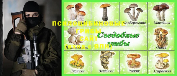 дживик Михайловск