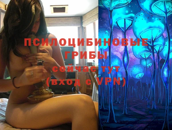 дживик Михайловск