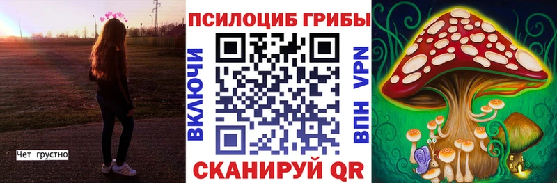 Галлюциногенные грибы Psilocybe  Грозный 
