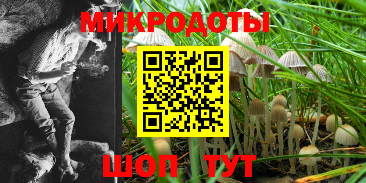 Грозный  Псилоцибиновые грибы мицелий  Вход с VPN 