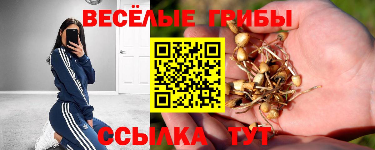 Псилоцибиновые грибы MAGIC MUSHROOMS Грозный