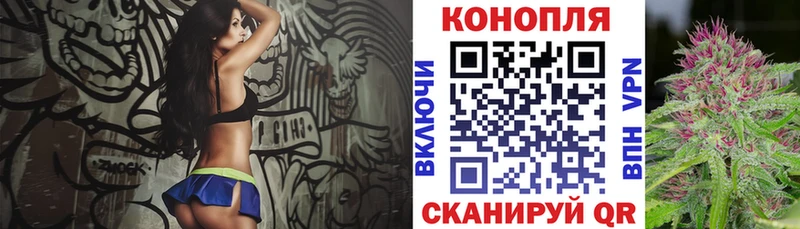 Шишки марихуана сатива  Грозный 